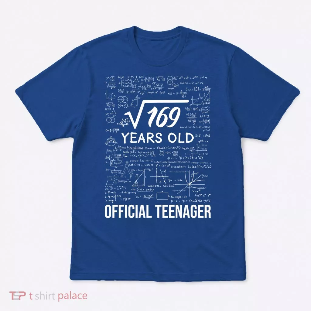 13 Birthday Teenager Boy 13yr Math 13th Birthday T-Shirt